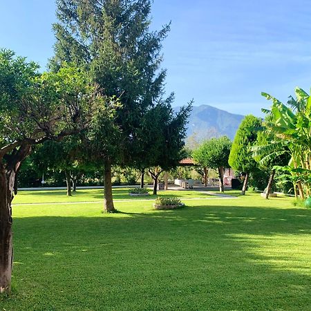 Villa Josette Sant'Egidio del Monte Albino Екстериор снимка